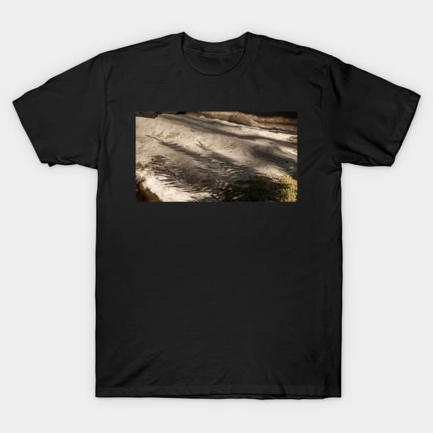 Fern leaf shadows on rocks T-Shirt by blossomcophoto